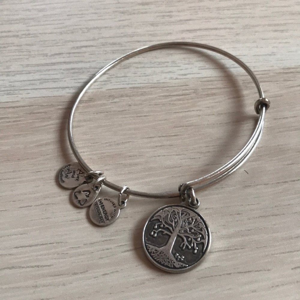 Alex & Ani tree of life bangle
